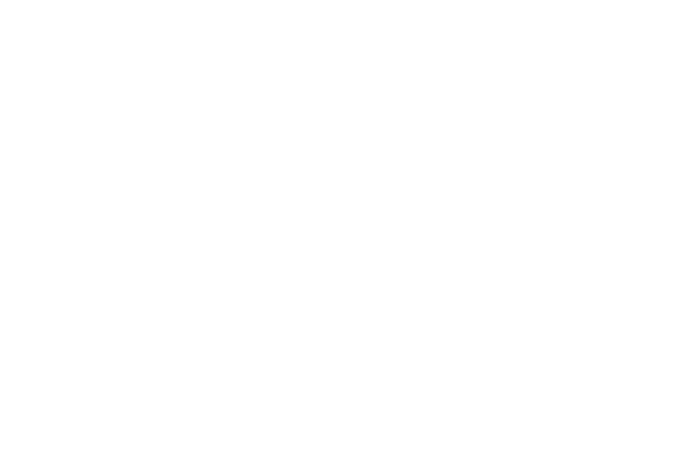 National Minority Supplier Development Council 
